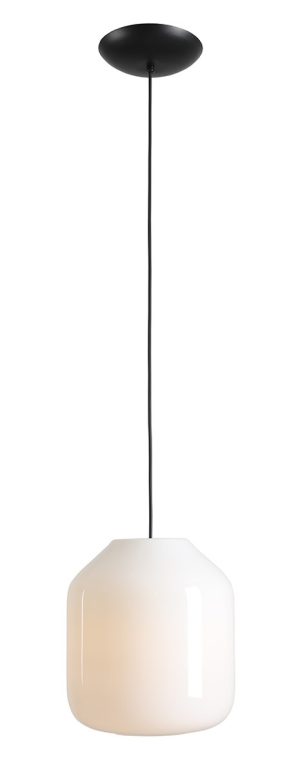 LAMPA WISZĄCA FLASK ORCHID L
(żarówki w zestawie)