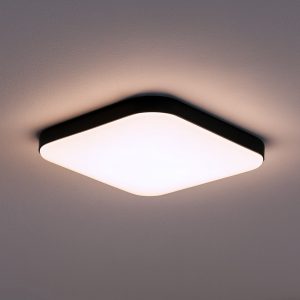 Plafon NEMO BLACK 17W LED