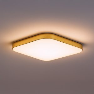 Plafon NEMO GOLD 17W LED