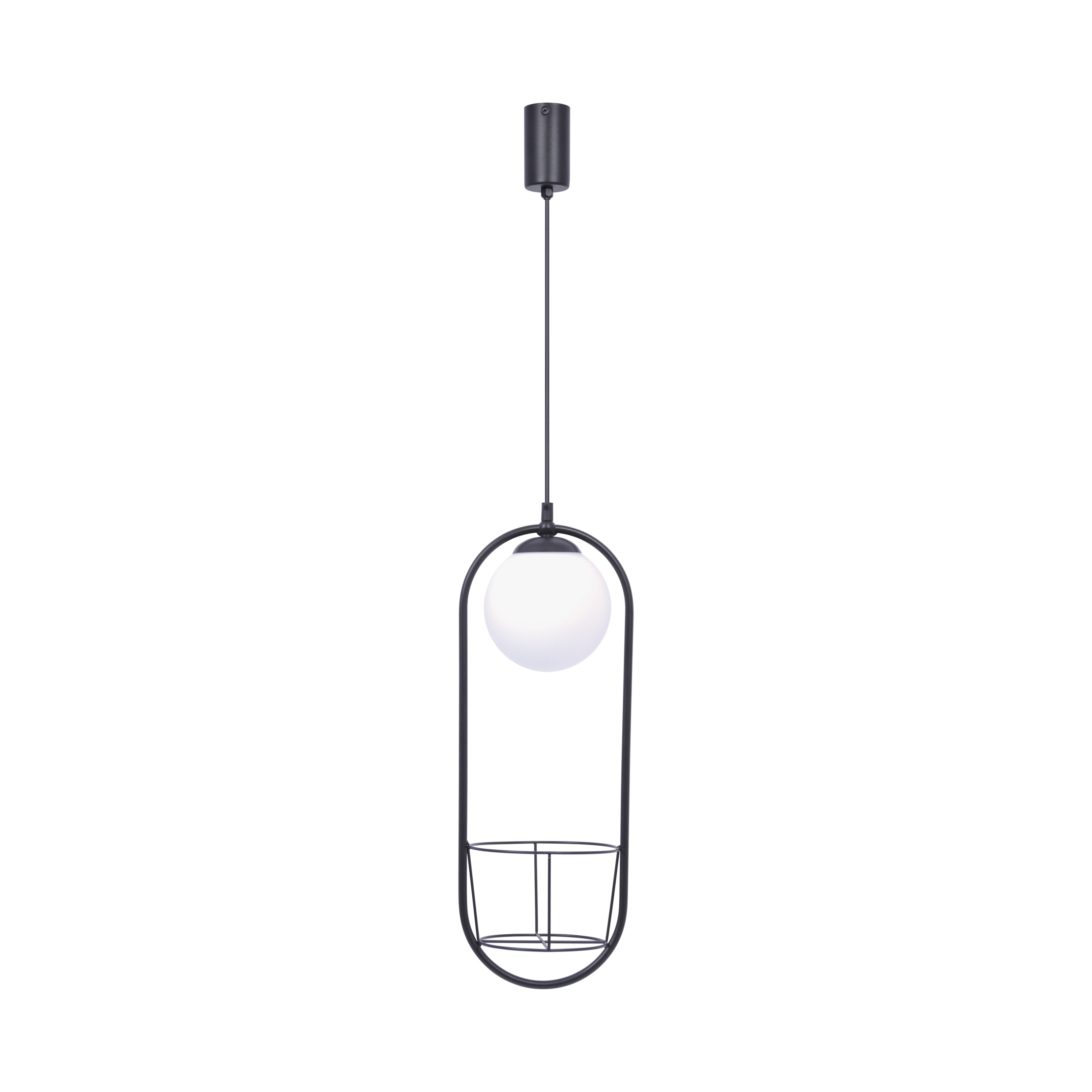 5003 PLANT 1 PENDANT LAMP