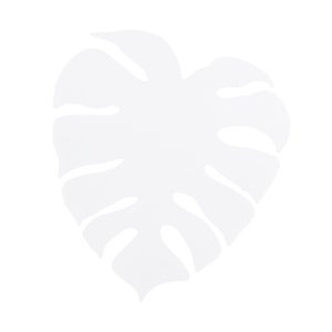 MONSTERA XL WHITE KINKIET 4XG9