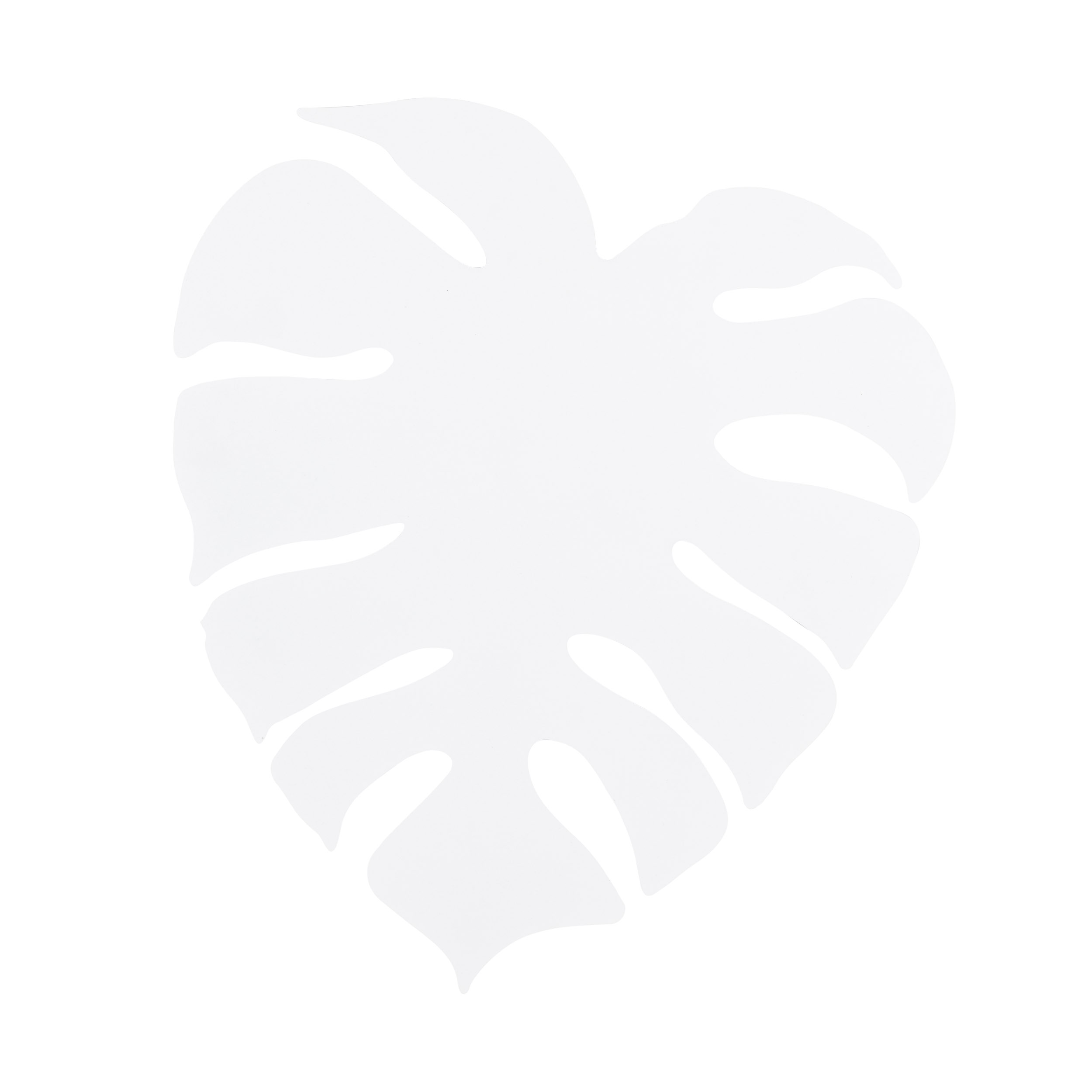 MONSTERA XL WHITE KINKIET 4XG9