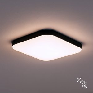 PLAFON NEMO BLACK 16W PIR