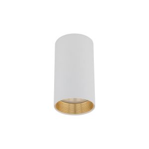 AMIS WHITE  DOWNLIGHT