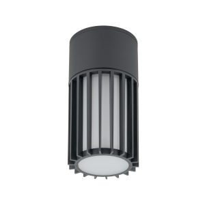 RIBO GRAY LAMPA SUFITOWA IP54 1XE27