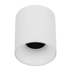 BLAZE WHITE CCT 12W
