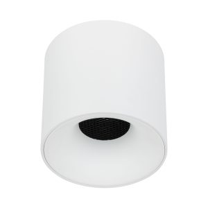 BLAZE WHITE CCT 30W