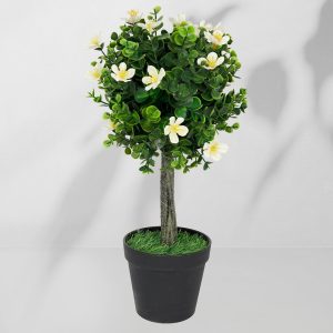 Roślina doniczkowa Drzewko bukszpanowe 5517 40 cm