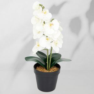Roślina doniczkowa Storczyk 6400 38 cm