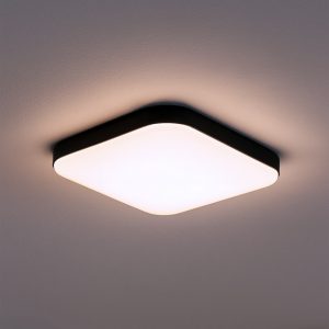 Plafon Nemo Czarny 11W LED