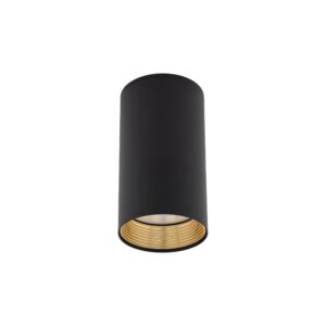 AMIS BLACK DOWNLIGHT