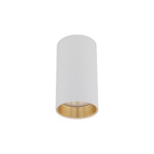 AMIS WHITE  DOWNLIGHT