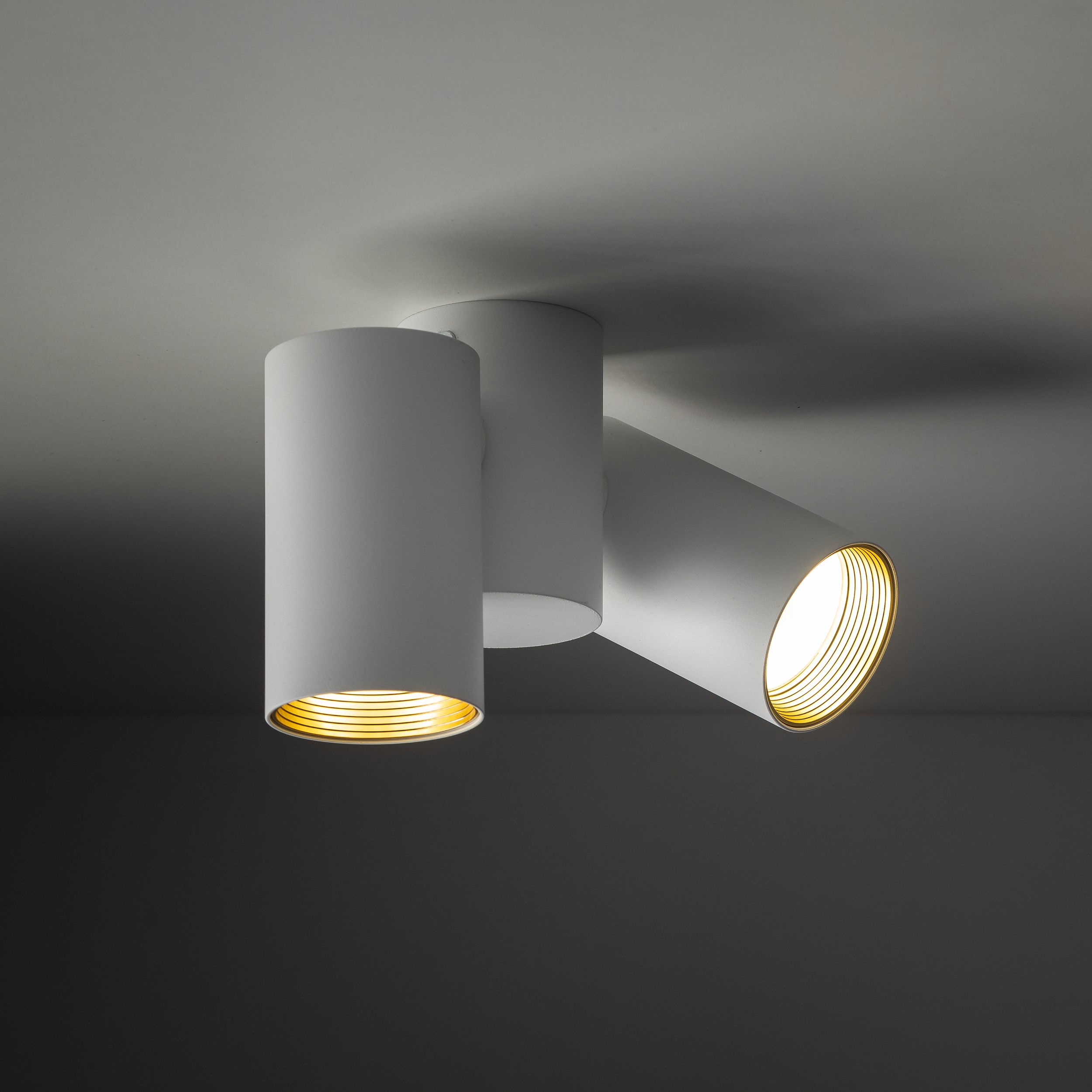 AMIS WHITE DOWNLIGHT 2XGU10 - obrazek 2