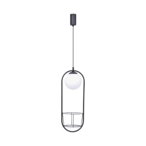 5003 PLANT 1 PENDANT LAMP