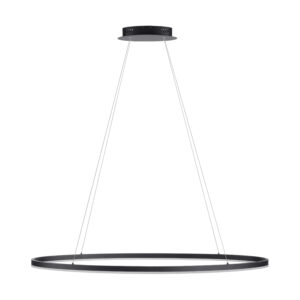 2393-13 TITUS LAMPA WISZĄCA ANTRACYT