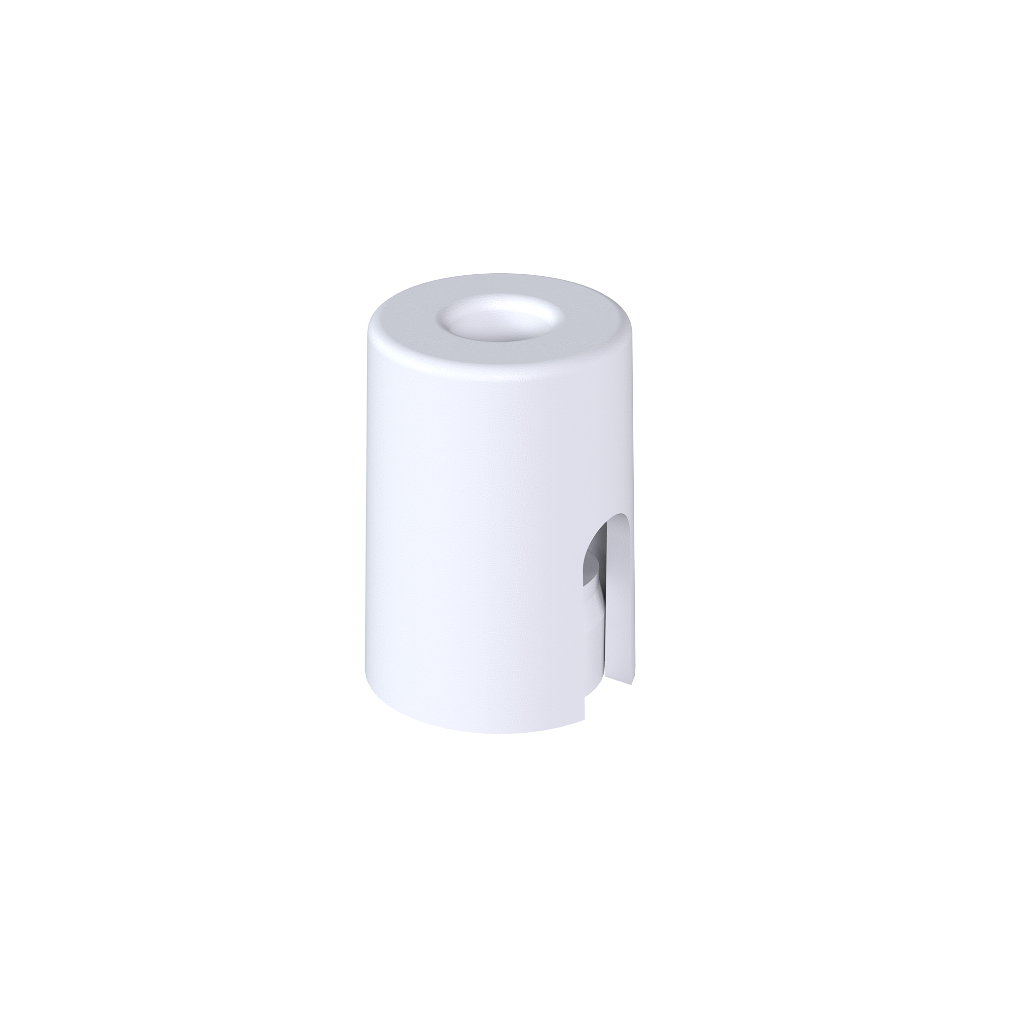 CAMELEON MOUNTING A