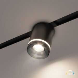 Magnetic Track 10mm Downlight 6W CCT 48V