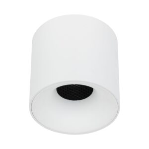 BLAZE WHITE CCT 30W