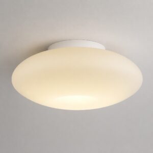 Lampa sufitowa Robin 11W LED
