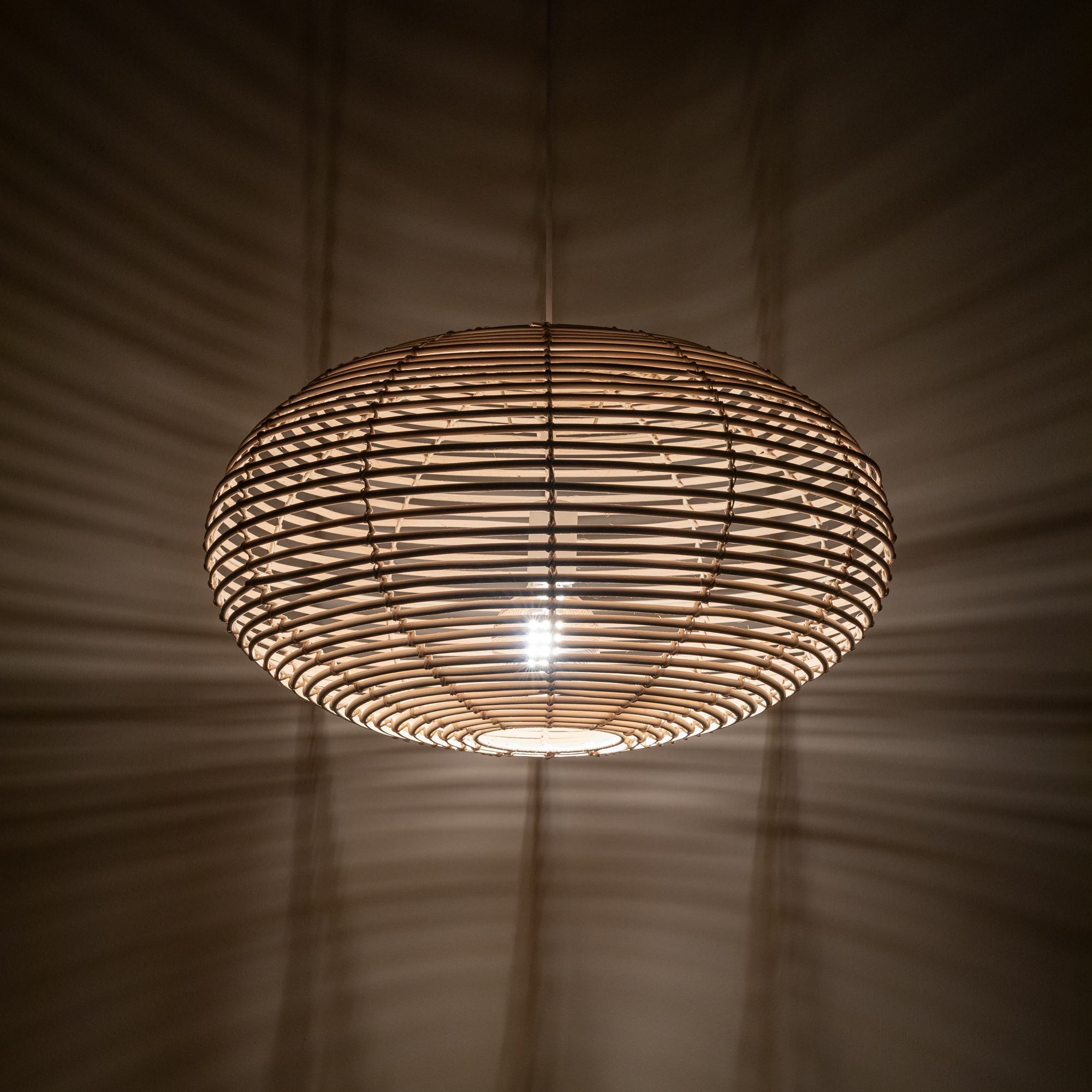 RATTAN M - obrazek 2