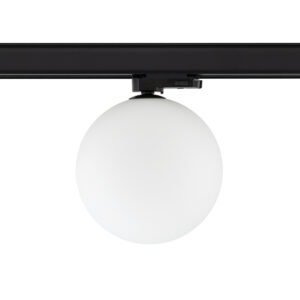 CTLS SNOWBALL