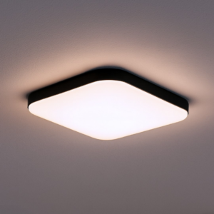 Plafon NEMO BLACK 17W LED