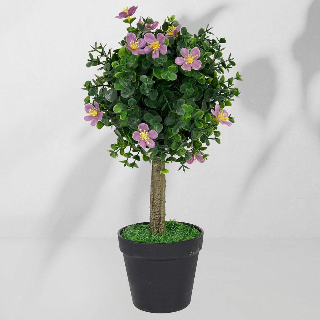 Roślina doniczkowa Drzewko bukszpanowe 5514 40 cm