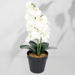 Roślina doniczkowa Storczyk 6400 38 cm