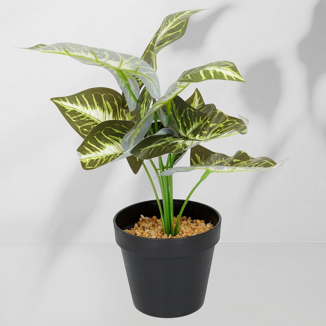 Roślina doniczkowa Maranta 6402 35 cm