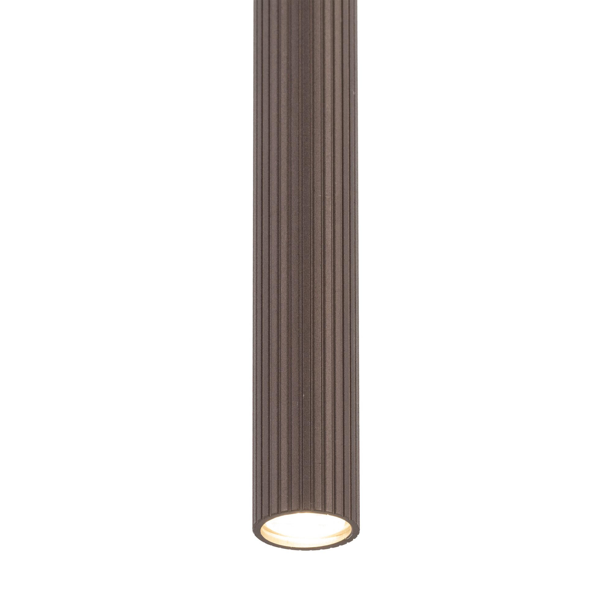 TRACER BROWN 1XG9 - obrazek 5