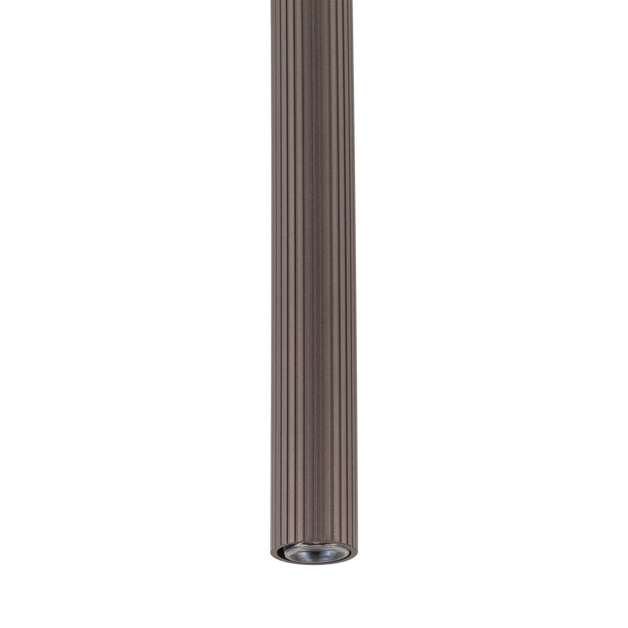 TRACER BROWN 1XG9 - obrazek 6
