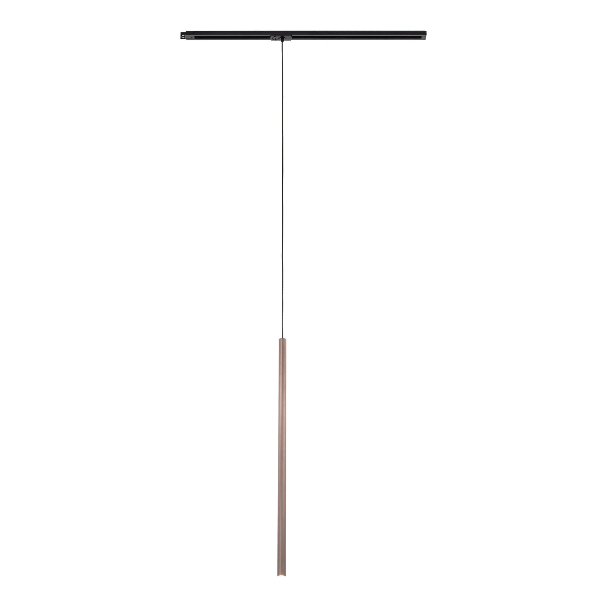 TRACER BROWN 1XG9 - obrazek 8