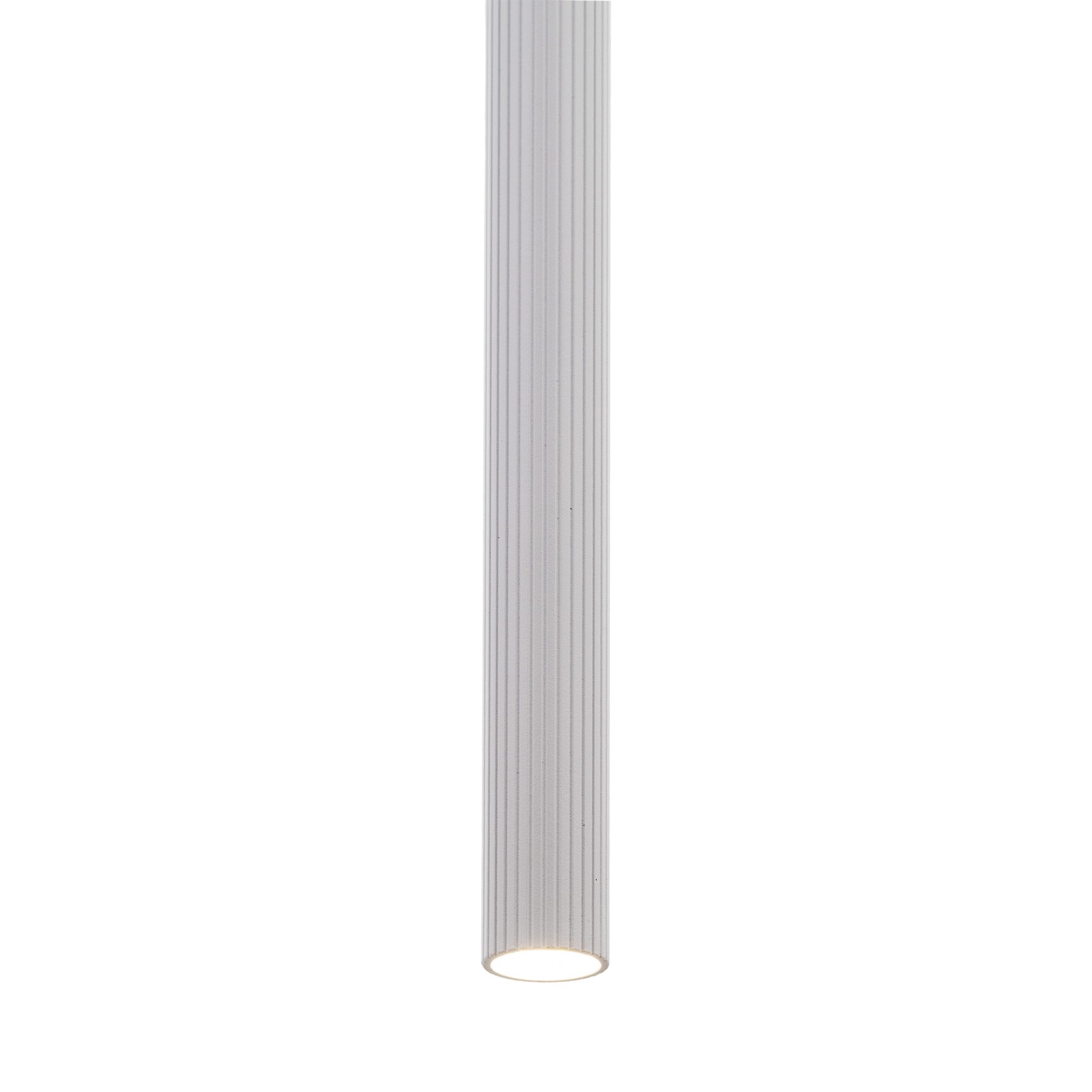 TRACER WHITE 1XG9 - obrazek 6