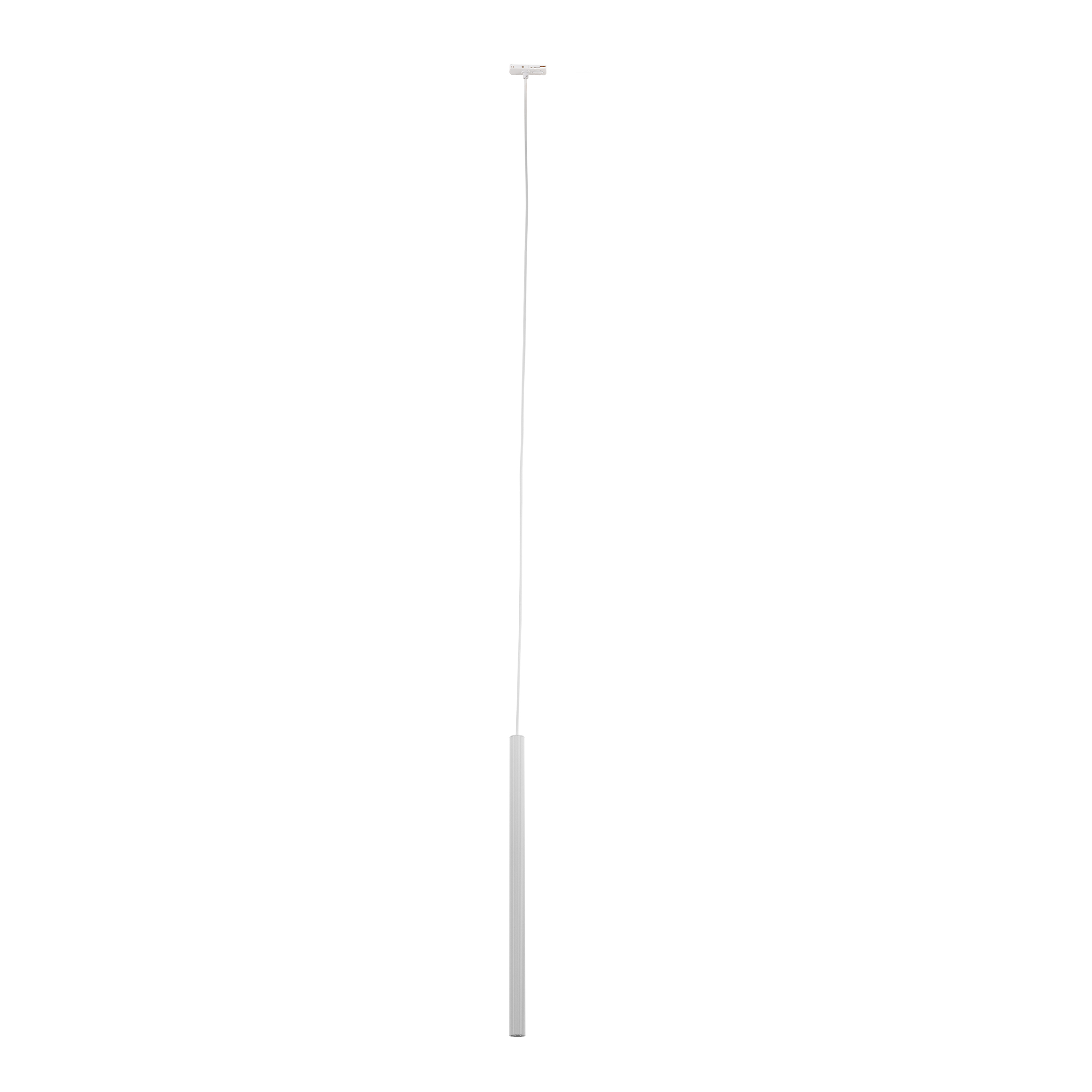TRACER WHITE 1XG9