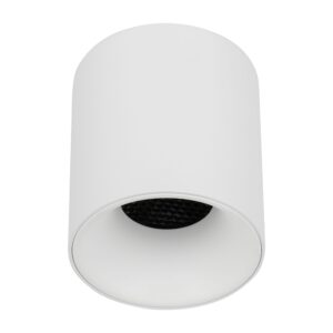 BLAZE WHITE CCT 12W