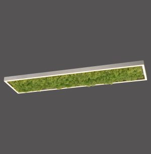 15623-66 GREEN KNUT LAMPA SUFITOWA NATURALNY MECH