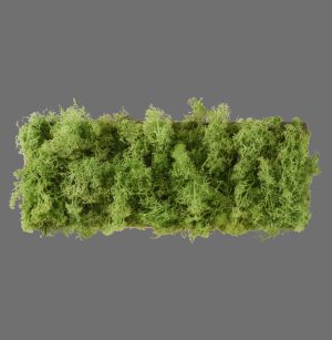 15637-66 GREN CARLO LAMPA SUFITOWA NATURALNY MECH