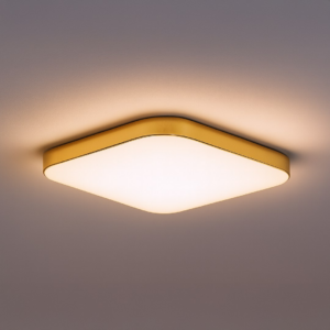 Plafon NEMO GOLD 17W LED