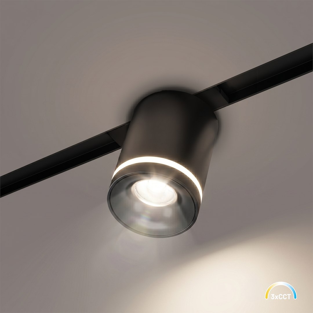Magnetic Track 10mm Downlight 6W CCT 48V